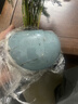 花行榜文竹盆栽植物花卉綠植 精品小文竹+藍瓷冰裂+底座+苔蘚源頭直發(fā) 曬單實(shí)拍圖