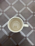 馬克杯高顏值ins風(fēng)陶瓷杯卡通咖啡杯辦公室家用早餐喝水杯子可愛(ài) 飛機小狗陶瓷杯 曬單實(shí)拍圖