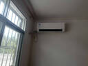 海爾（Haier）251升風(fēng)冷無(wú)霜三開(kāi)門(mén)多門(mén)家用小冰箱小型海爾255升級款租房BCD-251WGHC3E7WV(銀)家電國家補貼20%  曬單實(shí)拍圖