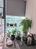 茗光2025年新款煮茶壺電陶爐煮茶器小型燒水壺煮茶爐養生壺 曬單實(shí)拍圖