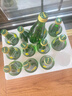 PerrierPerrier含氣天然礦泉水330ml玻璃瓶裝氣泡水0能量0糖飲用水 原味330ml*24瓶 330ml*24瓶 曬單實(shí)拍圖
