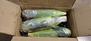 京鮮生云南水果玉米5斤 鮮甜玉米棒 甜脆多汁 新鮮蔬菜 源頭直發(fā)包郵 曬單實(shí)拍圖