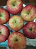 洛川蘋(píng)果陜西延安紅富士時(shí)令蘋(píng)果水果禮盒禮品蘋(píng)果生鮮新鮮脆甜整箱好吃 凈重4.5斤80-85mm鉑金果 彩箱裝 曬單實(shí)拍圖