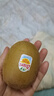 佳沛（zespri）新西蘭  陽(yáng)光金果22粒原箱 單果重144-175g 獼猴桃 中秋水果禮盒 曬單實(shí)拍圖