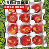 正宗25年新果云南昭通冰糖心丑蘋(píng)果新鮮水果現摘脆甜野生富士蘋(píng)果 5斤凈重75-80mm 曬單實(shí)拍圖