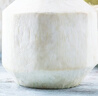 佳農 泰國進(jìn)口椰青9粒裝 單果900g+ 贈開(kāi)椰器吸管 生鮮水果禮盒 包郵 曬單實(shí)拍圖