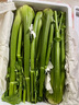 京地達山東榨汁西芹凈半葉芹菜榨汁蔬菜嫩心凈重5斤源頭直發(fā)包郵 曬單實(shí)拍圖
