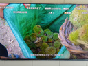 騰訊極光盒子5ProMax 全程8K超清電視盒子 八核智能網(wǎng)絡(luò )機頂盒 8+128G杜比視界高清藍光播放機 無(wú)損音樂(lè )播放器 極光盒子5ProMax 曬單實(shí)拍圖