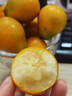 裕農叔脆蜜金桔【順豐JD】脆皮小金桔新鮮水果禮盒可選廣西薄皮小橘柑子 凈重2.5斤特大果 曬單實(shí)拍圖