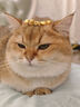 周生生黃金轉(zhuǎn)運(yùn)珠 HelloKitty招財(cái)福貓三麗鷗足金串珠92618C定價(jià) 曬單實(shí)拍圖