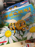 京東好書 神奇校車 圖畫書版3歲4歲5歲6歲 童書 兒童繪本 圖畫書  幼兒園 幼小銜接 小學生 科普啟蒙 科學大爆炸 暑期閱讀    暑假課外書 繪本過渡到文字 曬單實拍圖