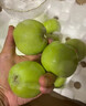 正宗王林蘋(píng)果新鮮青森蘋(píng)果引進(jìn)品種雀斑美人孕婦脆甜水果整箱 3斤 嚴選果 分享裝無(wú)禮盒 曬單實(shí)拍圖