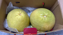 京鮮生 福建文旦柚 柚子 2粒裝 凈重2.4斤起 生鮮水果禮盒 曬單實(shí)拍圖