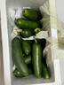 京喜加新鮮無(wú)刺水果小黃瓜小青瓜脆甜荷蘭脆嫩生吃黃瓜蔬菜 水果黃瓜 2斤 帶箱活動(dòng) 曬單實(shí)拍圖