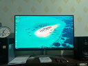 LG 27UP850K 27英寸 4K顯示器IPS硬件校準 Mac外接滿(mǎn)血版Type-c90W充電內置音響辦公設計屏 升降旋轉 2025新品 27UP850K 曬單實(shí)拍圖