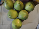 京鮮生 翡翠青柚 紅心柚 1粒裝 單果1.5斤起 生鮮柚子水果 曬單實(shí)拍圖