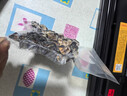 德國品質(zhì)全自動(dòng)干濕兩用食品密封保鮮小型家用塑封機器封口機 頂配【雙泵139KPA超大吸力】數顯屏+切刀+10 曬單實(shí)拍圖