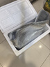 珍美草原里脊肉片鐵板里脊肉串半成品食材奧爾良燒烤油炸雞肉串空氣炸鍋 【大串】1.4斤20串（35g/串） 曬單實(shí)拍圖