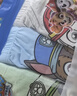 汪汪隊立大功（PAW PATROL）兒童內褲男寶寶短褲小孩棉質(zhì)四角平角褲4條裝PA089 120 曬單實(shí)拍圖