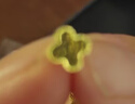 中國珠寶黃金耳釘女四葉草足金999金耳飾送女友老婆節(jié)日生日禮物 四葉草耳釘一對 約1.75g（克重多退少補(bǔ)） 曬單實拍圖