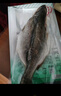 三都港 冷凍三去海鱸魚(yú)1斤1條（贈料包）深海魚(yú) 生鮮 魚(yú)類(lèi) 中秋 曬單實(shí)拍圖