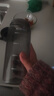富光夏季女運動(dòng)水杯兒童便攜杯男夏天塑料杯隨手杯子 灰黑色 550ml 曬單實(shí)拍圖
