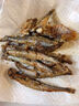 賣(mài)魚(yú)七郎加拿大冷凍全籽多春魚(yú)凈重3.5斤(約150-160條）99%滿(mǎn)籽燒烤食材 曬單實(shí)拍圖