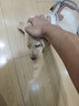 亞瑟士ASICS男鞋網(wǎng)面跑鞋緩震透氣運(yùn)動(dòng)鞋輕量跑步鞋GEL-CONTEND 4 黑色/黑色 42 曬單實(shí)拍圖