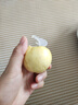 黃金百香果欽蜜9號新鮮當(dāng)季現(xiàn)摘精選好果水果百香果鮮果酸甜可口 欽蜜9號黃金百香果40~60g中果1斤 曬單實拍圖