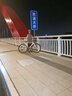喜德盛公路自行車2025款A(yù)D300油碟UCI車架2x10速中空一體牙盤桶軸破風(fēng)車 白蛇 510mm 曬單實拍圖