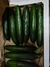 京鮮生 山東荷蘭水果黃瓜凈重5斤 單果70g+ 健康輕食早餐 源頭直發(fā) 曬單實(shí)拍圖