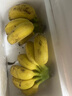 廣西小米蕉當季水果小雞米蕉新鮮自然熟香蕉放熟吃蘭和 2斤裝 曬單實(shí)拍圖