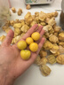 順豐正宗東北姑娘果現摘5斤當季新鮮水果薄皮酸甜黃菇娘果燈籠果y 1斤嘗鮮【順豐現摘】 曬單實(shí)拍圖