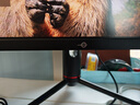 泰坦軍團40英寸帶魚(yú)屏WQHD 144Hz IPS HDR400廣色域 內置音箱 升降支架智能分屏電競辦公2K準4K顯示器P40UG 曬單實(shí)拍圖