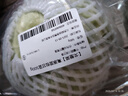 【高山鮮】高原面包甘藍500g 曬單實(shí)拍圖