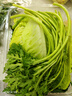 【火鍋菜】葉菜拼盤500g(菠菜葉+蒿子稈+生菜葉+娃娃菜) 曬單實拍圖