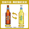 青海湖啤酒  10° 精釀青稞500ml*12 瓶大西北特色啤酒 整箱裝 曬單實(shí)拍圖