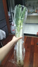 【農戶(hù)直通車(chē)】大蔥500g  曬單實(shí)拍圖