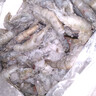 北海灣 厄瓜多爾白蝦 大蝦鮮活速凍鹽凍南美白蝦基圍蝦海蝦對蝦海鮮批發(fā) 【特大蝦 15-18cm】 3斤(凈重) 曬單實(shí)拍圖