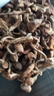 2025新貨長(cháng)白山特產(chǎn)野生榛蘑東北小雞燉蘑菇干貨無(wú)根（順豐包郵） 100g 曬單實(shí)拍圖