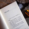 夢(mèng)回巴比倫：一部1942年的私家偵探小說(shuō)（布勞提根黑色幽默的“癲”峰之作，“我的現實(shí)和我的錢(qián)怎么 曬單實(shí)拍圖