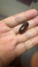 安普生邦利深海魚(yú)油大豆卵磷脂軟膠囊600粒輔助降血脂配魚(yú)肝油成人中老年 曬單實(shí)拍圖