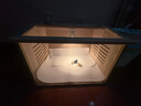 捕漁達人 蘆丁雞飼養箱40*30*30cm 寵物飼養箱觀(guān)賞籠子養殖恒溫箱鵪鶉窩籠 曬單實(shí)拍圖