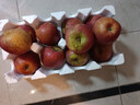 京覓四川大涼山丑蘋(píng)果 凈4.5斤單果75mm+ 新鮮水果冰糖心蘋(píng)果源頭直發(fā) 曬單實(shí)拍圖