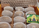 佳沛（zespri）新西蘭  陽(yáng)光金奇異果16粒禮盒經(jīng)典果單果約 77-103g 水果 獼猴桃 曬單實(shí)拍圖