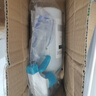 九品祥蛀蟲(chóng)藥實(shí)木地板床板家用蛀蟲(chóng)清家具根雕除蟲(chóng)竹蠹粉蠹木頭500ml 曬單實(shí)拍圖