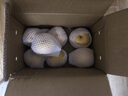 京鮮生山東煙臺萊陽(yáng)秋月梨凈重8斤 單果300g+ 生鮮水果 源頭直發(fā)包郵 曬單實(shí)拍圖
