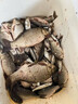 書言釣魚麝香紅蟲酒米打窩料大鯽魚窩料野釣打窩米鯉魚餌料顆粒打底窩 中藥味酒米3斤(已添加聚窩小藥) 曬單實拍圖