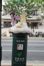唯卓仕（VILTROX）AF 50mm F2.0 FE索尼口全畫(huà)幅自動(dòng)對焦大光圈定焦人像鏡頭適用于A(yíng)7M3 A7CII ZVE1 A7CR微單相機 曬單實(shí)拍圖