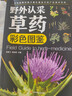 野外認采草藥彩色圖鑒通俗易懂實(shí)用性強手冊中醫野外認采書(shū)籍 野外認采草藥彩色圖鑒 曬單實(shí)拍圖